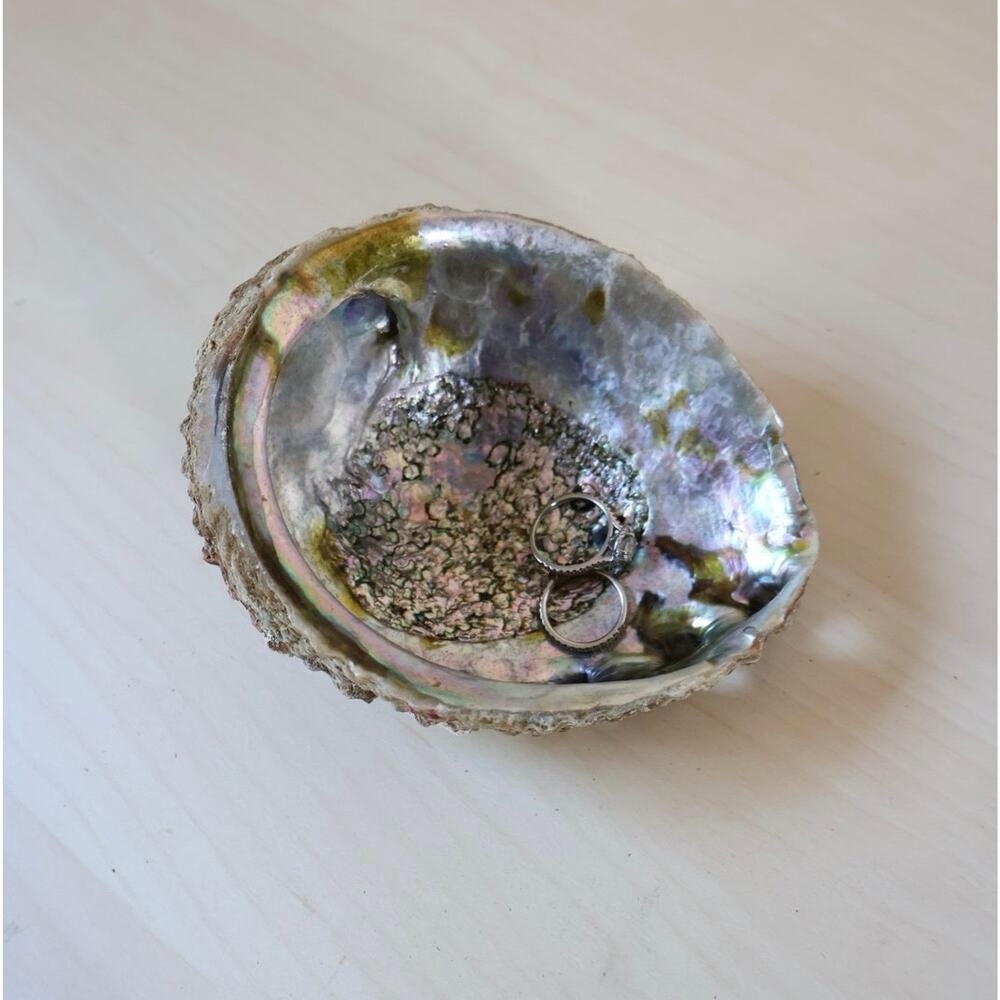 Large 5" Natural Abalone Shell Bowl Iridescent Mother of Pearl Jewelry Dish